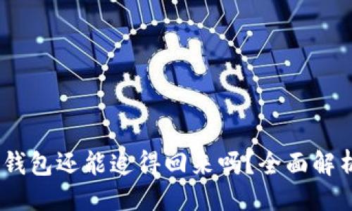 与关键词
USDT转入冷钱包还能追得回来吗?全面解析与风险防范