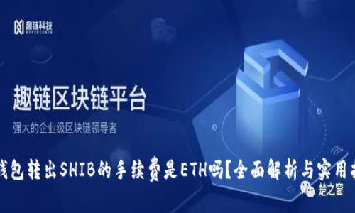 冷钱包转出SHIB的手续费是ETH吗?全面解析与实用指南