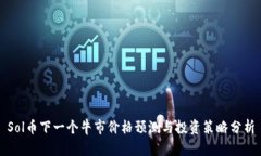 Sol币下一个牛市价格预测与投资策略分析