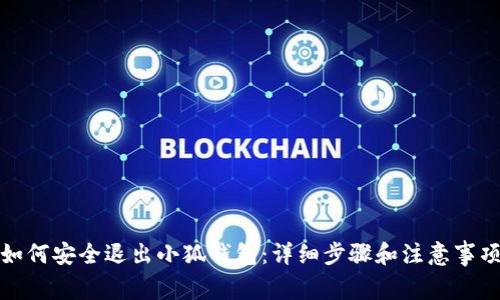 如何安全退出小狐钱包:详细步骤和注意事项