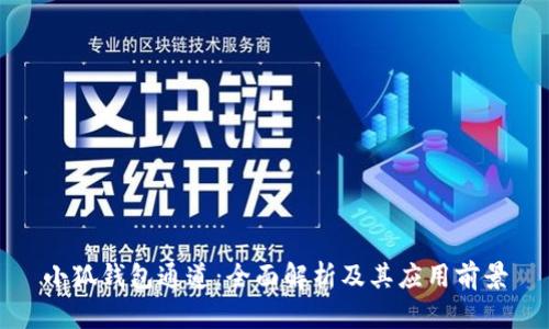小狐钱包通道：全面解析及其应用前景