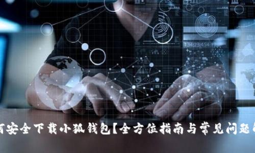 如何安全下载小狐钱包？全方位指南与常见问题解答