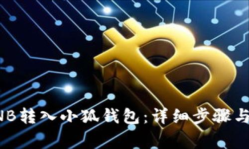 如何将BNB转入小狐钱包:详细步骤与注意事项