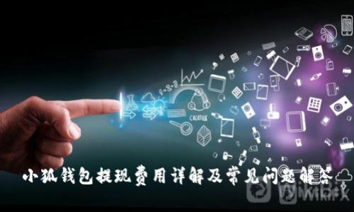 小狐钱包提现费用详解及常见问题解答