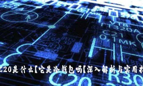 TRC20是什么？它是冷钱包吗？深入解析与实用指南