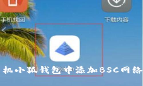 如何在手机小狐钱包中添加BSC网络详细指南