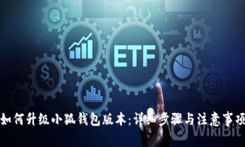 如何升级小狐钱包版本：详细步骤与注意事项