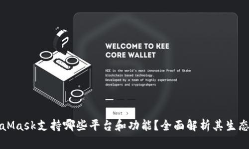 MetaMask支持哪些平台和功能？全面解析其生态系统