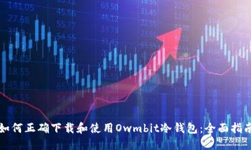 如何正确下载和使用Owmbit冷钱包:全面指南