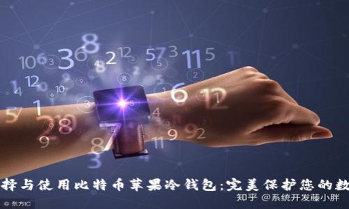 如何选择与使用比特币苹果冷钱包：完美保护您的数字资产