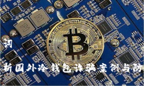 与关键词
深入解析国外冷钱包诈骗案例与防范措施
