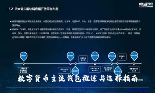 数字货币主流钱包概述与选择指南