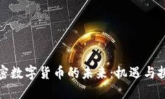 加密数字货币的未来:机遇与挑战