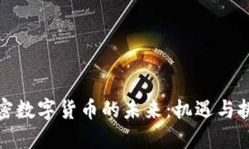 加密数字货币的未来:机遇与挑战