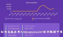 如何高效使用BitDownloader进行视频下载