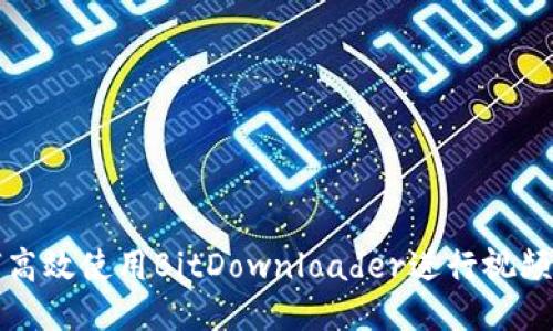 如何高效使用BitDownloader进行视频下载