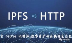 探索 BitPie 比特派：数字资产的区块链生态先锋