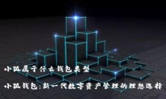 小狐属于什么钱包类型小狐钱包:新一代数字资