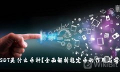 USDT是什么币种？全面解析稳定币的作用与前景