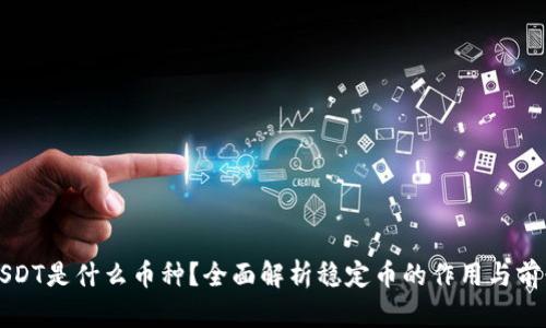 USDT是什么币种？全面解析稳定币的作用与前景