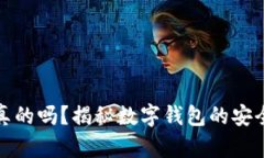 小狐钱包是真的吗？揭秘数字钱包的安全性与实