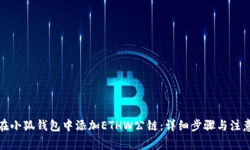 如何在小狐钱包中添加ETHW公链：详细步骤与注意事项