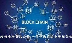 如何查询比特币冷钱包余额：一步步教你安全管