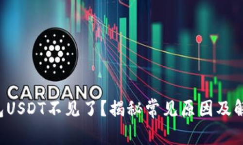 小狐钱包USDT不见了?揭秘常见原因及解决办法!