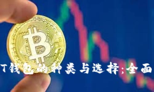 USDT钱包的种类与选择:全面解析