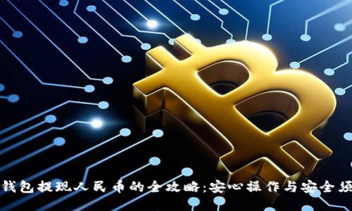 冷钱包提现人民币的全攻略：安心操作与安全须知