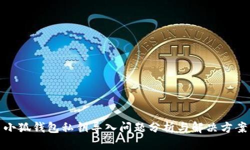 小狐钱包私钥导入问题分析与解决方案