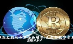 MetaMask钱包支持的币种全面解析：支持的数字资产