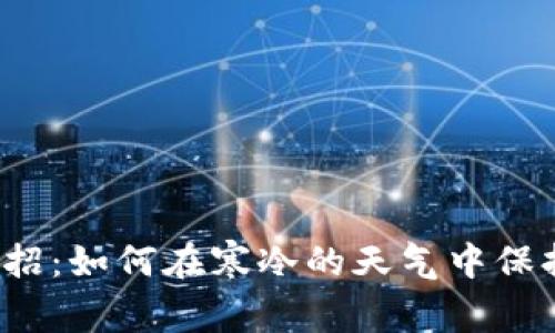 冬季理财小妙招：如何在寒冷的天气中保持钱包的温暖？