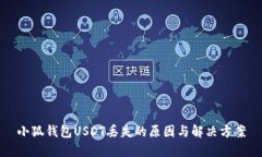 小狐钱包USDT丢失的原因与解决方案