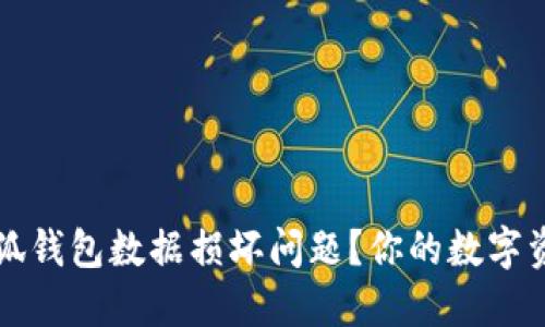 如何解决小狐钱包数据损坏问题?你的数字资产安全指南