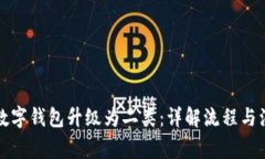 如何将数字钱包升级为二类：详解流程与注意事