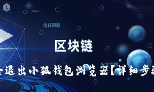 如何安全退出小狐钱包浏览器?详细步骤与技巧