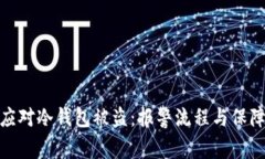 如何应对冷钱包被盗：报警流程与保障措施