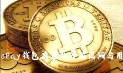 深入探讨：GoPay钱包存在的潜在漏洞与用户安全指