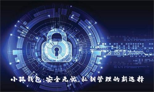 小狐钱包:安全无忧,私钥管理的新选择
