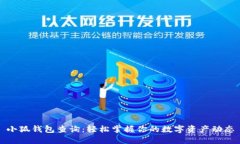 小狐钱包查询:轻松掌握你的数字资产动态