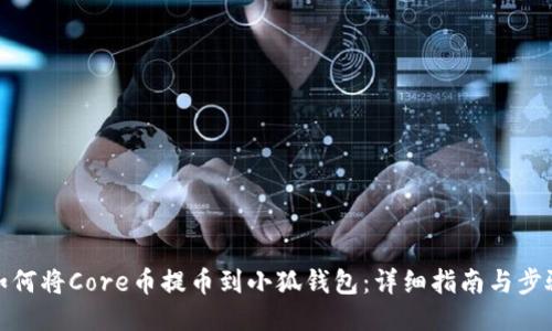 如何将Core币提币到小狐钱包：详细指南与步骤