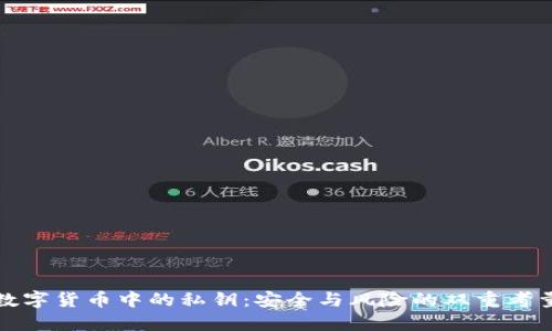 数字货币中的私钥：安全与风险的双重考量