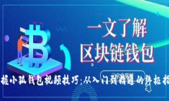 掌握小狐钱包视频技巧:从入门到精通的终极指