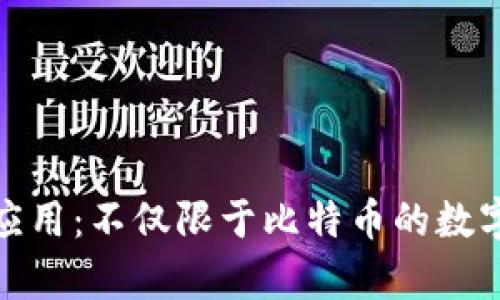 冷钱包的应用：不仅限于比特币的数字资产存储