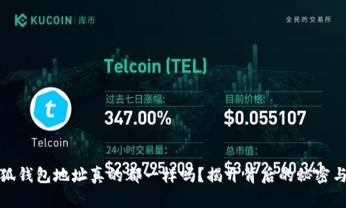 : 小狐钱包地址真的都一样吗？揭开背后的秘密与真相