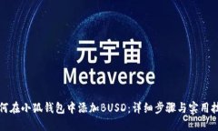如何在小狐钱包中添加BUSD:详细步骤与实用技巧
