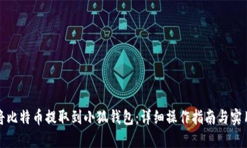 如何将比特币提取到小狐钱包：详细操作指南与实用技巧