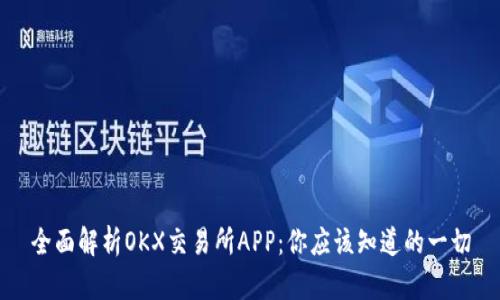全面解析OKX交易所APP:你应该知道的一切