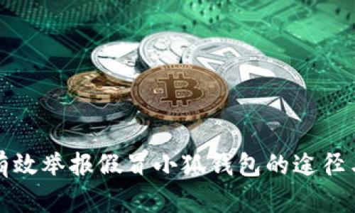 如何有效举报假冒小狐钱包的途径与方法